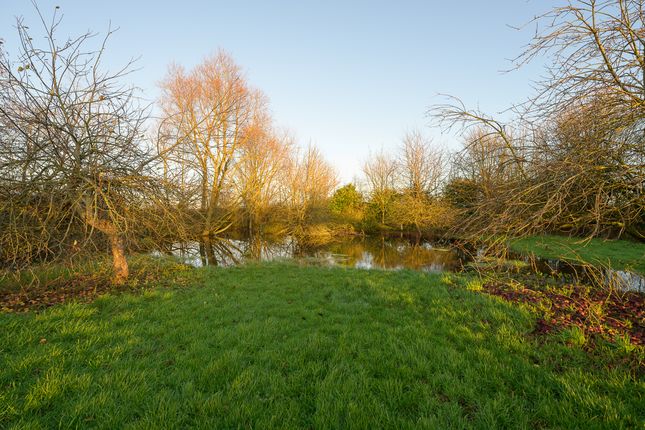 Great Treddow Farm-29