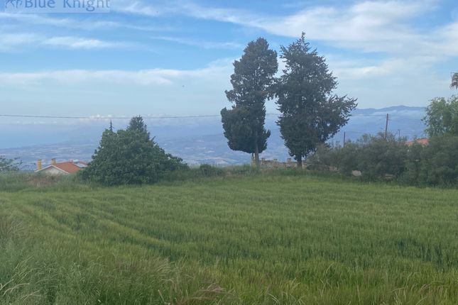 Land for sale in Drouseia, Cyprus