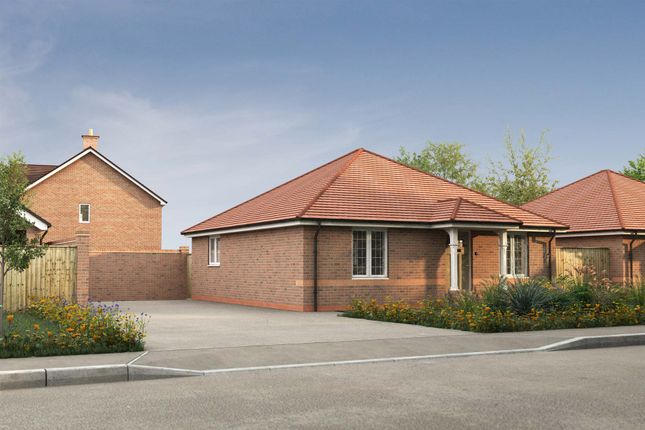 Thumbnail Detached bungalow for sale in Summers Grange, Wollaston, Wellingborough