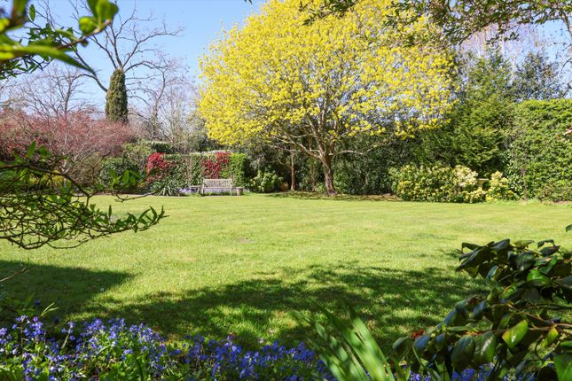 16, Spicers Field, Leatherhead photo 3