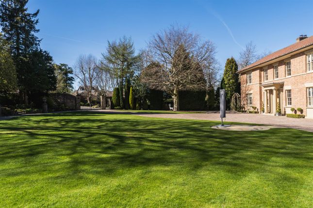 Exterior And Gardens