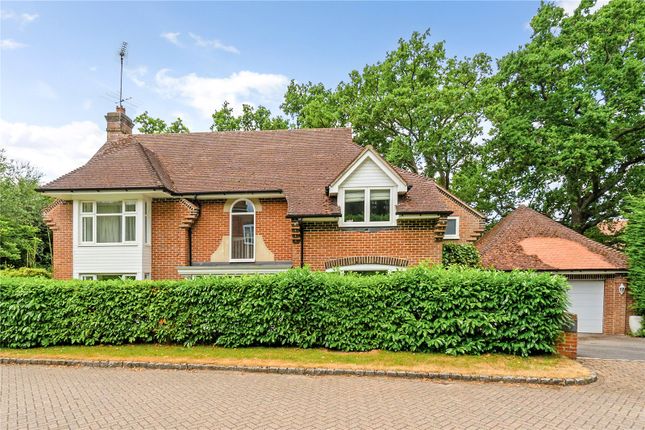 Thumbnail Detached house for sale in Abbey Wood, Ascot