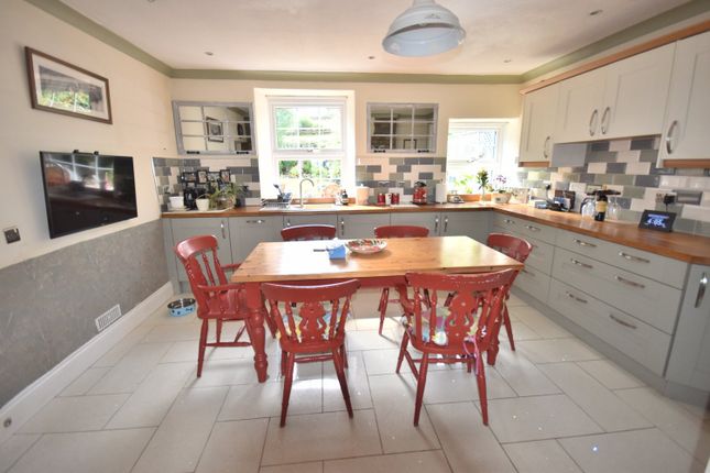 Ffynnonwen, Coedybryn, Llandysul photo 5