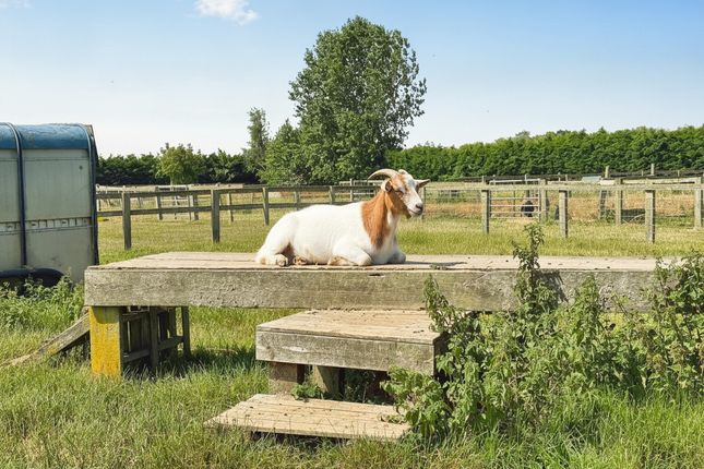 Clapham Holme Farm, Hull Road, Hull photo 4
