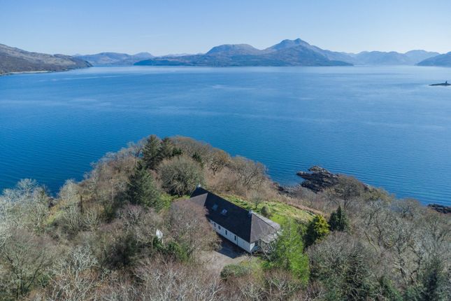 Tigh Na Coille