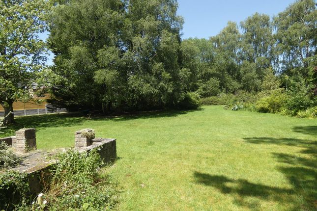 Channings, The Hollow, Blandford Forum photo 3