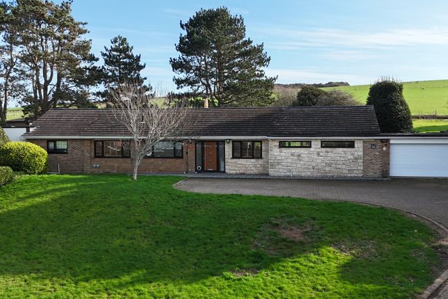 36, South Way, East Sussex photo 4