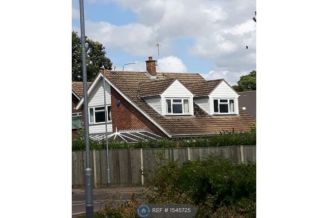 Thumbnail Detached house to rent in Hermitage Lane, Maidstone