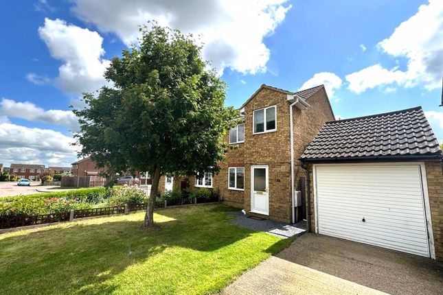 Thumbnail Semi-detached house to rent in Nene Road, Flitwick, Bedford