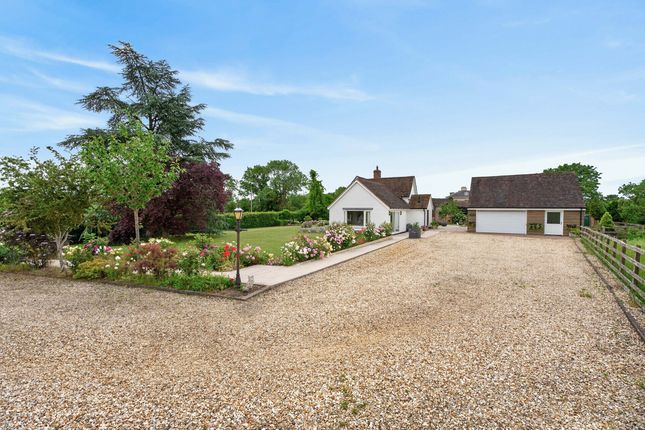 May Tree Farm, Ladywood, Worcestershire photo 3