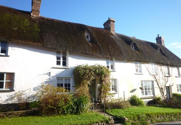 Thumbnail Cottage to rent in Sheepwash, Beaworthy