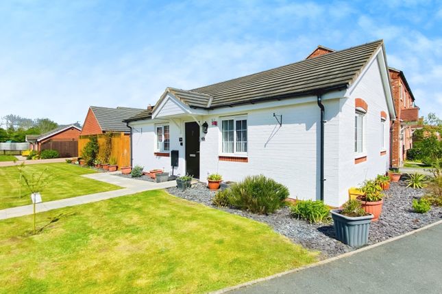 Thumbnail Detached bungalow for sale in Bosworth Way, Leicester Forest East