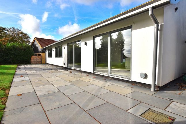 Detached bungalow to rent in Bran End, Stebbing, Dunmow