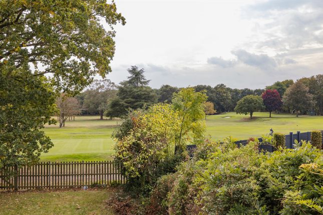 The Warren Drive, E11