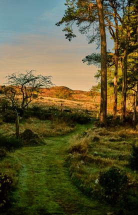 313484 - 20251029_Bwlch_Coch__Shot_1_176.Jpg