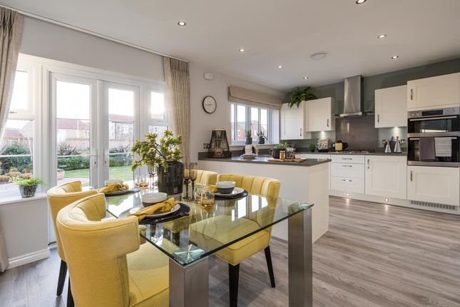 Thumbnail Detached house for sale in "The Mappleton - Plot 12" at The Meadows, Wynyard, Billingham