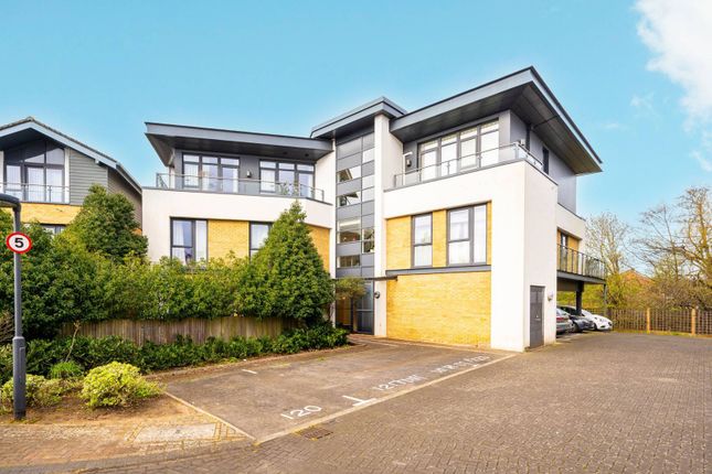Sycamore Avenue, Woking photo 2
