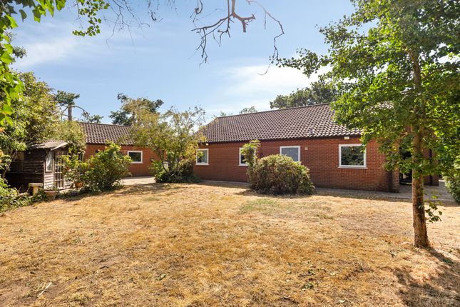 23b Nursery Lane, King's Lynn photo 4