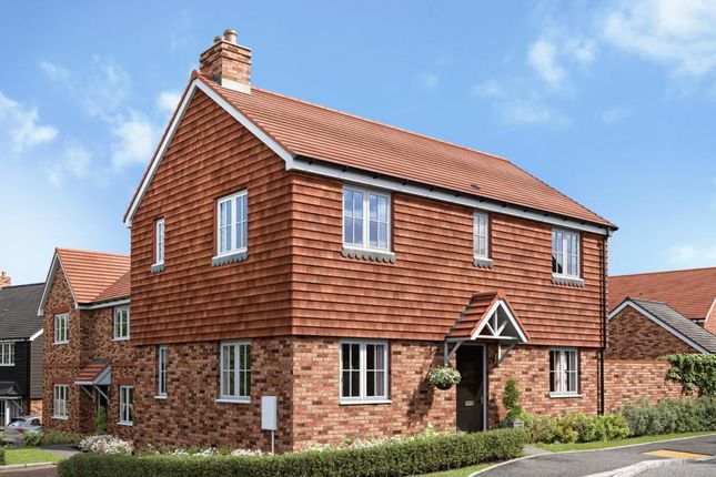 Dandara - Zoopla -