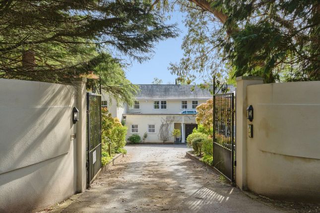 35, Compton Way, Farnham photo 2
