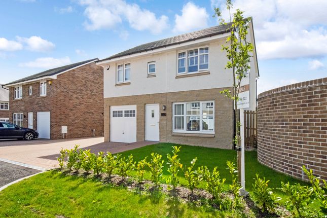 Detached house for sale in Shorthorn Terrace, Hamilton