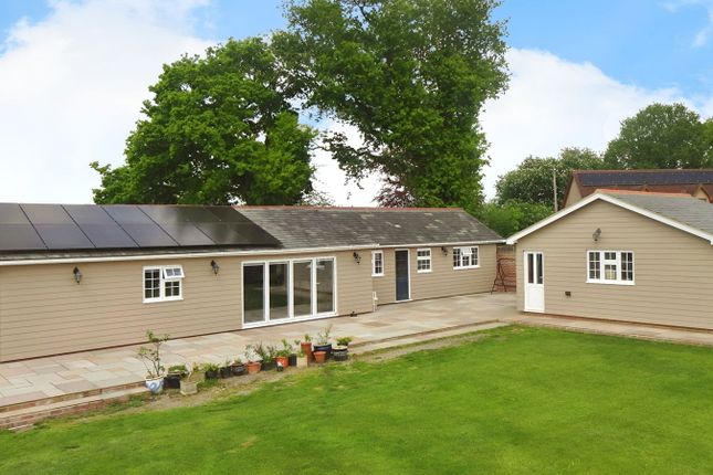 Thumbnail Bungalow for sale in Latchmore Bank, Great Hallingbury, Bishop's Stortford