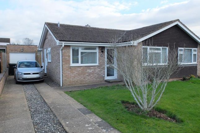 Thumbnail Semi-detached bungalow for sale in 31 Orchard Place, Ledbury, Herefordshire