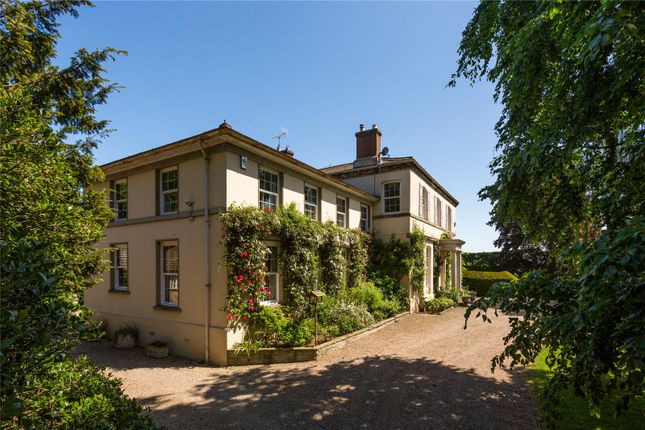 Side Elevation