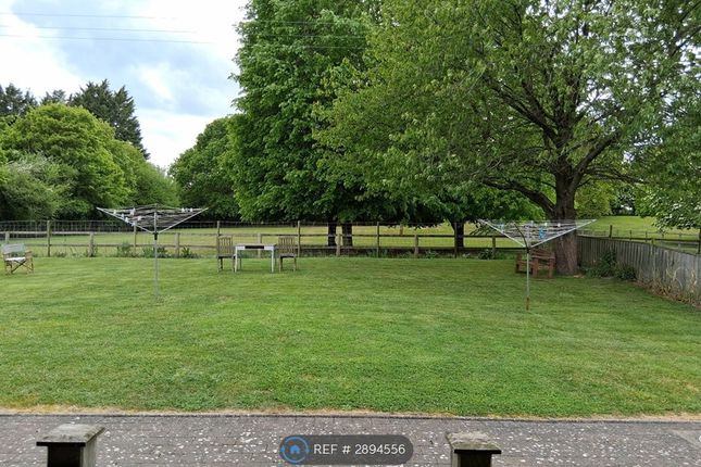Newcombes, Poole Street, Great Yeldham, Halstead photo 5
