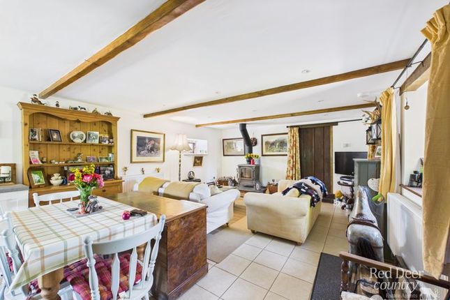 Pit Pony Cottage, Minehead photo 3