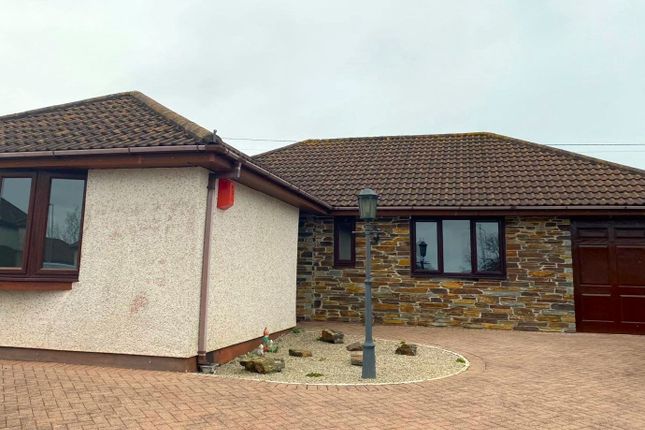 Thumbnail Bungalow to rent in Primrose Close, Roche, St. Austell