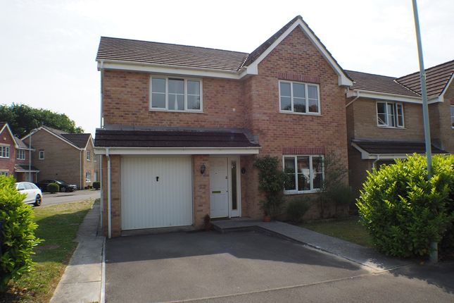 Detached house to rent in Sycamore Avenue, Tregof Village, Swansea