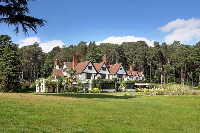 Thumbnail Detached house for sale in Chertsey Road, Windlesham, Surrey
