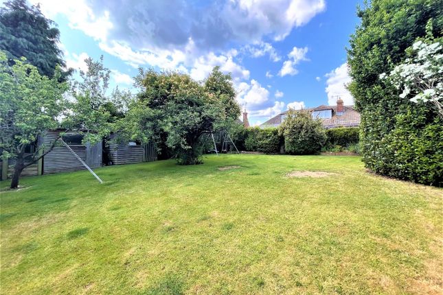 Thumbnail Detached bungalow for sale in De La Warr Road, Bexhill-On-Sea