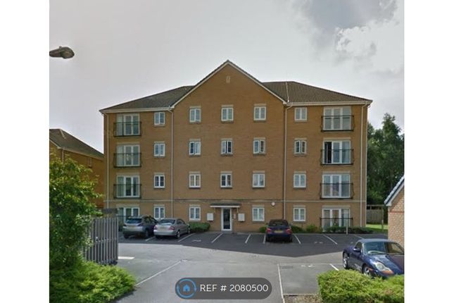 Thumbnail Flat to rent in Wyncliffe Gardens, Cardiff