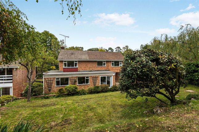 Thumbnail Link-detached house for sale in Roundway Close, Camberley