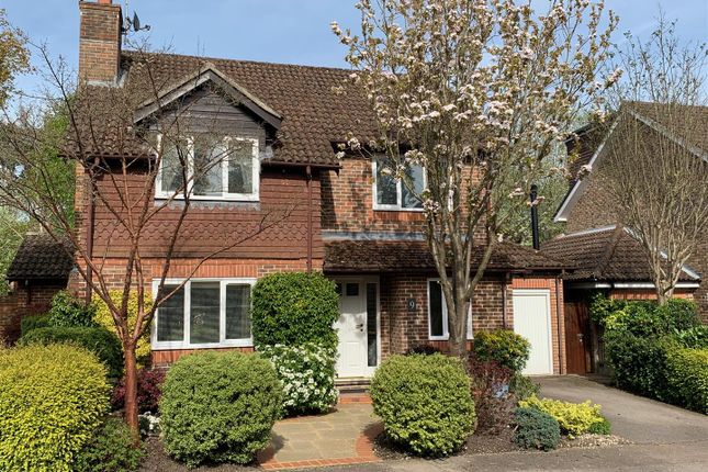 Thumbnail Detached house for sale in Amber Hill, Camberley, Surrey