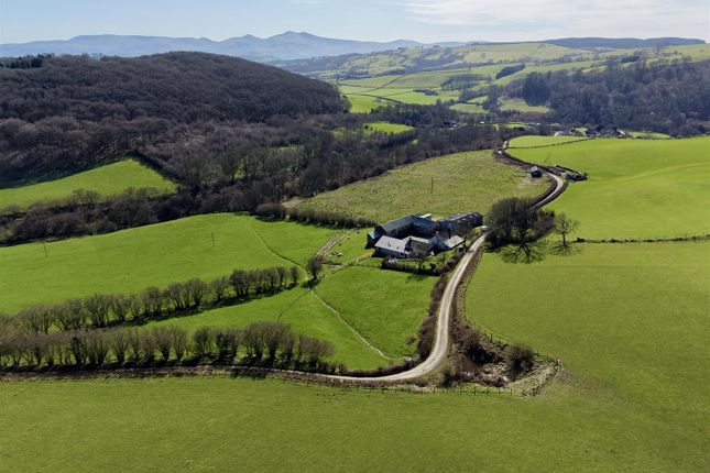 Tynewydd Farm, Brecon photo 2