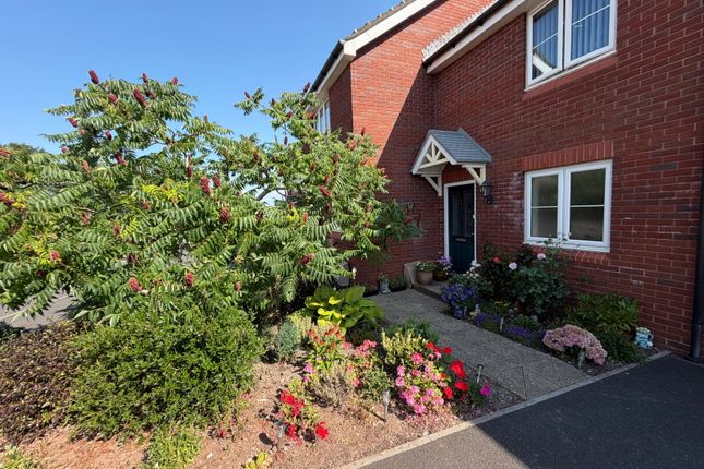 Larkspur Court,1, Wilkins Drive, Paignton photo 3