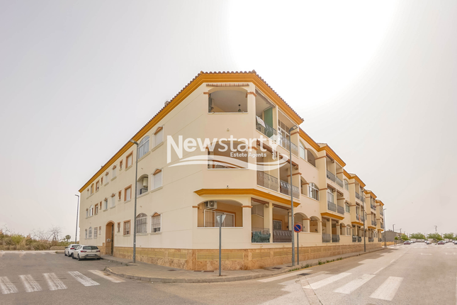 Thumbnail Apartment for sale in Alicante, Dolores, Dolores