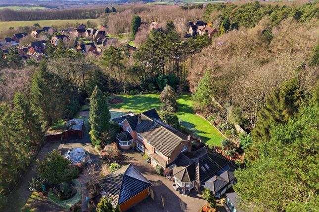 2, Haggnook Wood, Nottingham photo 4