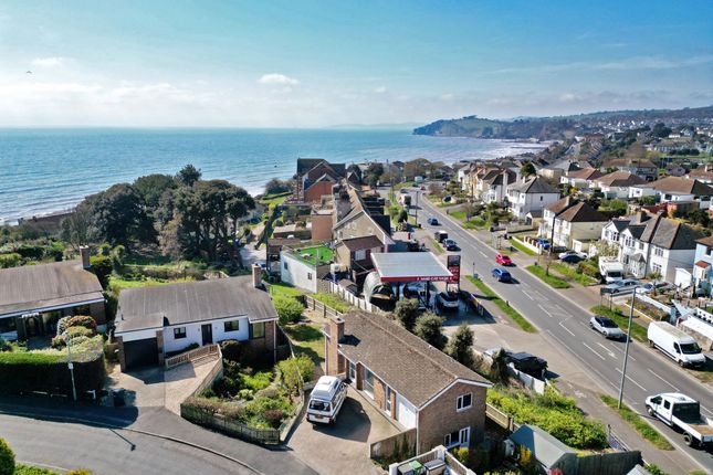 16, Pinewood Close, Dawlish photo 4