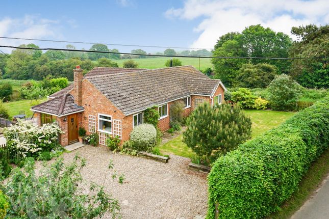 Thumbnail Detached bungalow for sale in Holly Farm Road, Reedham, Norwich