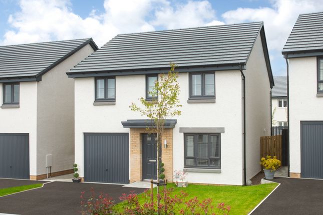 Thumbnail Detached house for sale in "Glamis" at Pinedale Way, Aberdeen