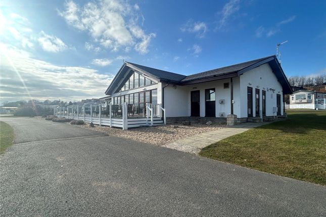 Pitch 92,, Glan Gors Holiday Park, Benllech photo 4