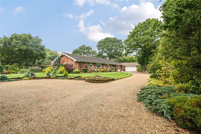 Bungalow for sale in Broadmead, Sway, Lymington, Hampshire