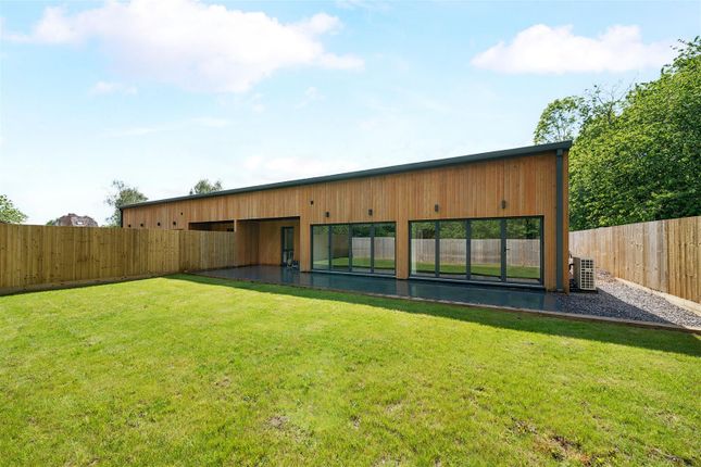 Rear Aspect