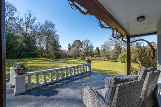 Terrace View