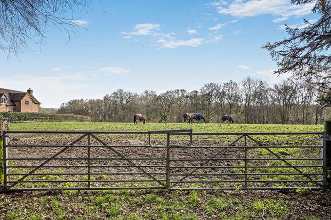 Long Court Farm,, Brocks Green, Newbury photo 2