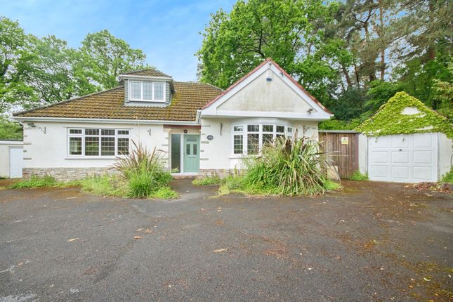 Thumbnail Bungalow for sale in High Trees Walk, Ferndown